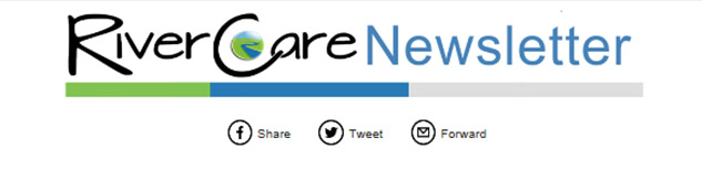 latest news thumbnail